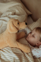 Pluszowy piesek maskotka obciążeniowa 2,2 kg Astrup