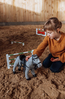 Przeszkoda klasyczna dla konika Minis 30 cm Astrup