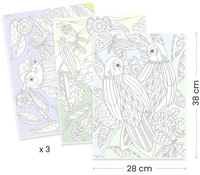 Obrazy do kolorowania w teczce Ptaki Djeco