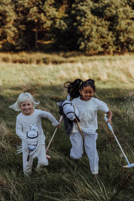 Gra zręcznościowa Polo Hobby Horse akcesoria Astrup