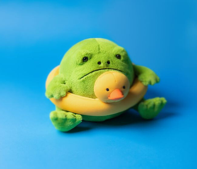 Deszczowa Żaba Ricky z Kaczuszką do Pływania 18 cm Jellycat