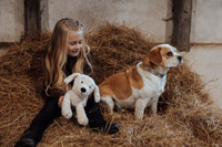 Piesek maskotka 37 cm ze szczeniakami Astrup