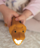 Latarka Lew Leo Rabbit & Friends